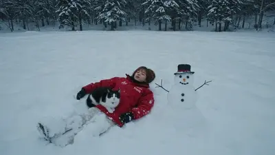 人参を1本持ってオーロラを見に行く