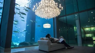 海遊リビング