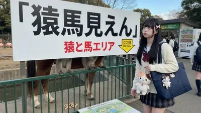 猿馬見えん